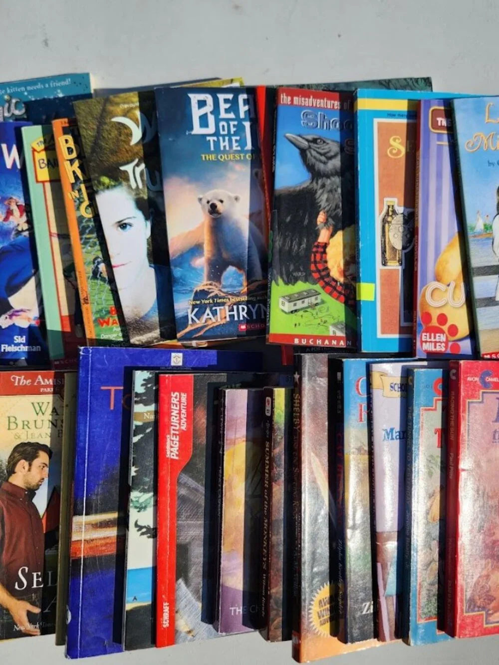 4 Book Bundle Lot Set Chapter Books Young Adult Literature Novels Mystery Books